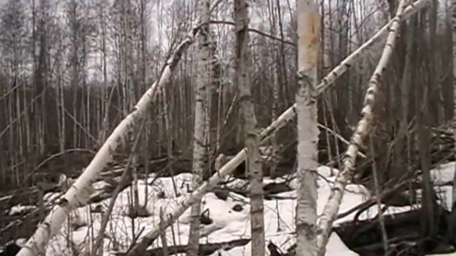 Чак, Буча на болоте смотреть онлайн