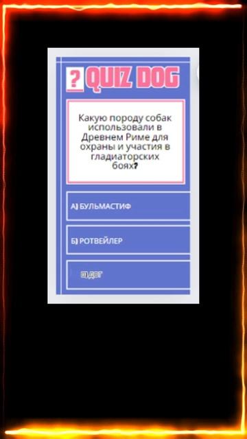 Собачий квиз №11 (Все о собаках) /Чихуахуа/Той-пудель #американская #топ #овчарка смотреть онлайн