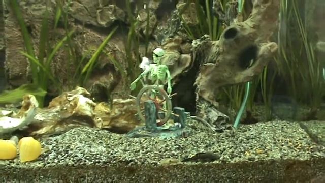 PENN PLAX ACTION-AIR Kostra Pri Kormidle