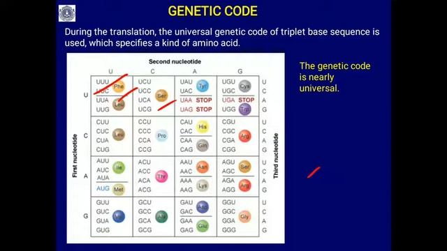 Genetic code смотреть онлайн