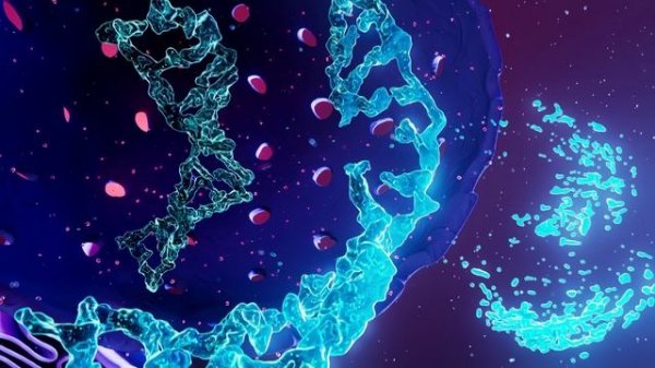 Grifon Media showreel 2024