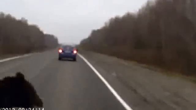 Машина Сбивает Медведя ... смотреть онлайн