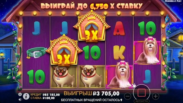 ИГРАЮ В СОБАК DOG HOUSE И ЛОВЛЮ БОНУС ИГРУ смотреть онлайн