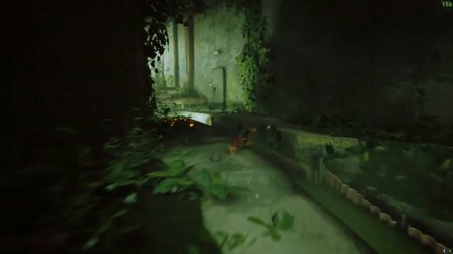 тема погони из смешариков даже подходет к игре Stray смотреть онлайн