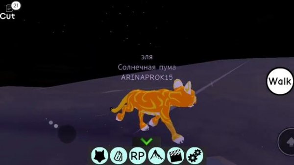 18 ноября 2023 г.