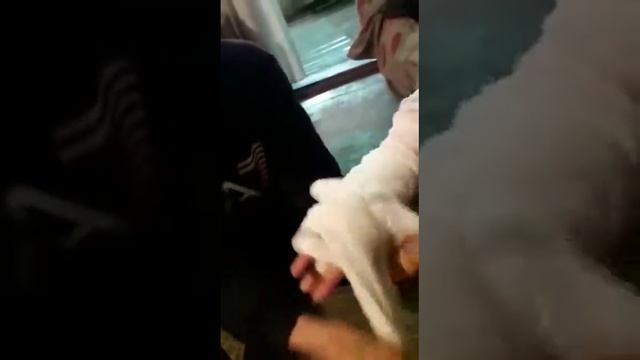 Великий маг исцелитель смотреть онлайн