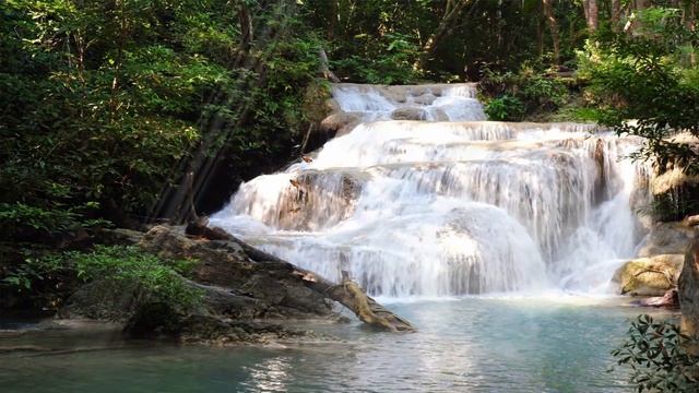2 Hours Nature Waterfalls with Birds in Forest Music Melody for Relax , Sleep , Instant Relief смотреть онлайн