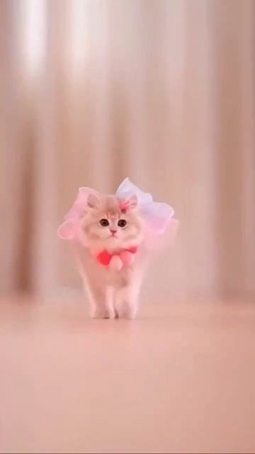 Показ мод фирмы «Мур-Мур»😊#кошки #милота #котики #животные #мода #кошка смотреть онлайн