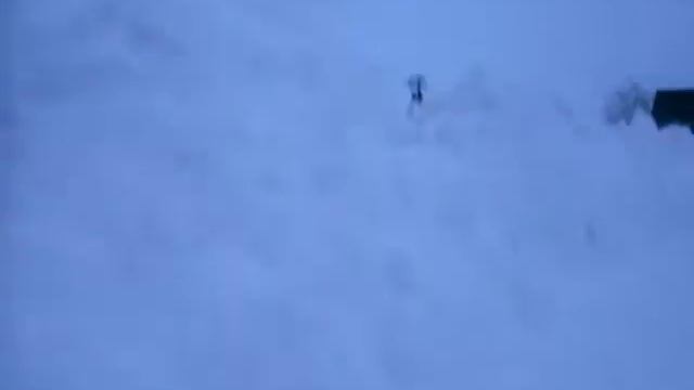 SDC12338 смотреть онлайн