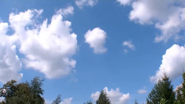 почти 2 часа пролетят за полторы минуты смотреть онлайн