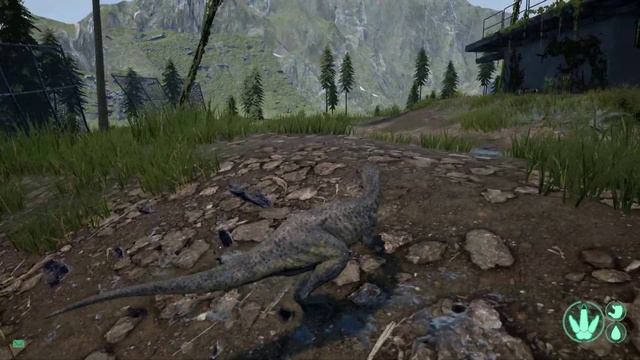 Играю за динозавров 2 часть.  #theisle