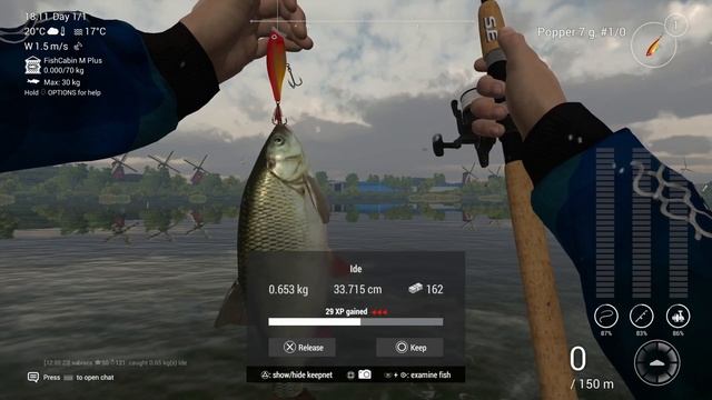 Fishing Planet - How to catch Ide on Topwater Lure, Ghent-Terneuzen Canal in Netherlands смотреть онлайн