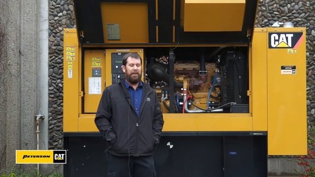 Cat Connect Testimonial смотреть онлайн