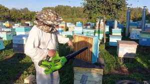 Воздуходувка помощник пчеловода