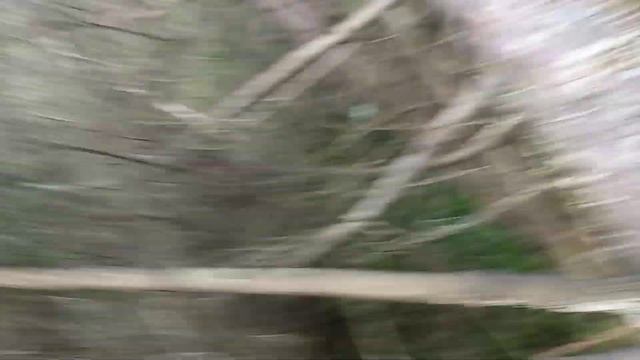 Древолаз смотреть онлайн