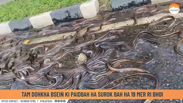 TAM DOHKHA BSEIÑ KI PAIDBAH HA SUROK BAH HA 19 MER RI BHOI смотреть онлайн