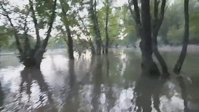 Water & Verdi & Yamaha Grizzly 700 смотреть онлайн