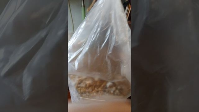 ПАКЕТЫ С ФИЛЬРАМИ КАК ИСПОЛЬЗОВАТЬ смотреть онлайн