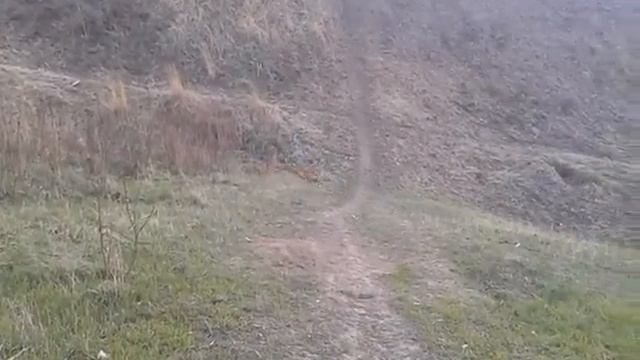 25 апреля 2015 смотреть онлайн