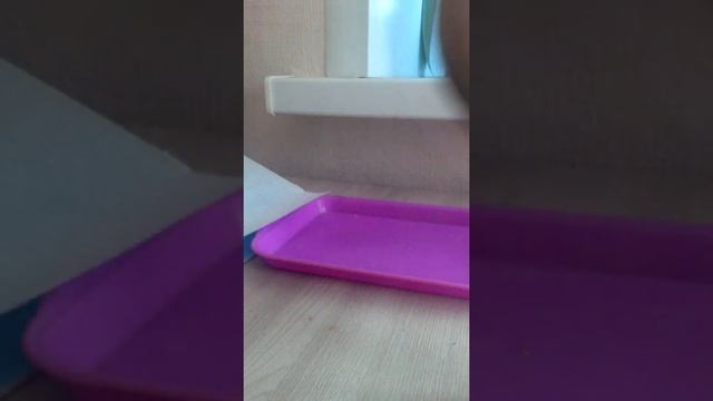 Как зделать диван для морской свинке смотреть онлайн