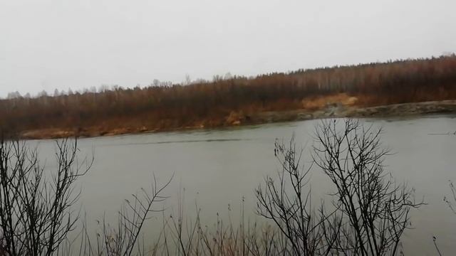 Поиски Чары - 30.10.18г смотреть онлайн