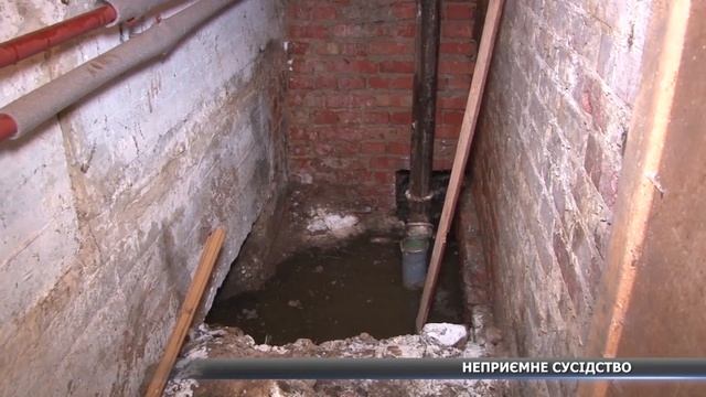 На вул. Петропавлівській 106 з підвалу лізуть слимаки смотреть онлайн