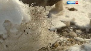 Вести Москва от 24.02.2016 Россия HD 19:35