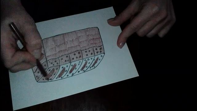 HOW TO DRAW BREAD \ CÓMO DIBUJAR PAN \ COMMENT DESSINER DU PAIN смотреть онлайн