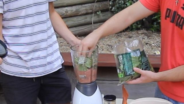 How to Make DIY Discus Food! (Easiest Recipe) смотреть онлайн