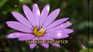 Пятый день пасхальной недели, 10 мая: что можно и нельзя делать в Страстную пятницу