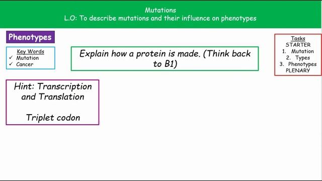 B5.1.5 -  Mutations  - Y10 Triple Biology