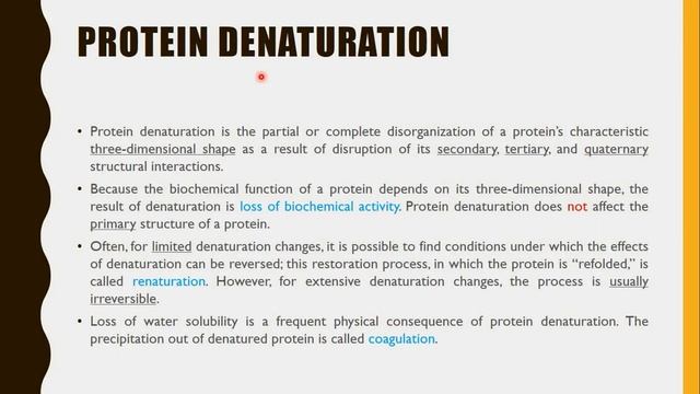 chemistry lecture 6 proteins смотреть онлайн