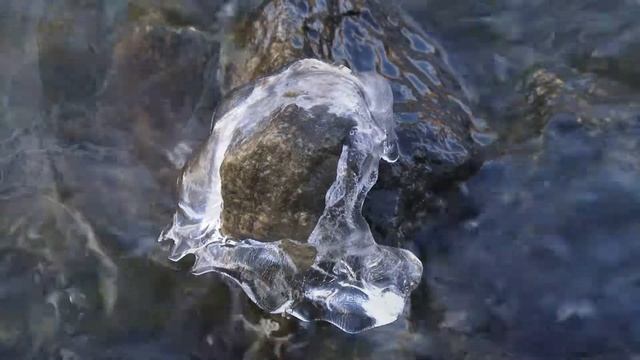 Житомир видео Грибана Олега смотреть онлайн