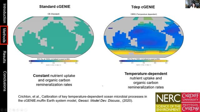 PalaeoPERCS - Flavia Boscolo Galazzo смотреть онлайн