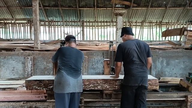 Amazing sawmill action | big pine wood смотреть онлайн
