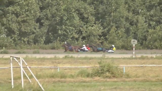 27.08.2017 г. 2-й заезд Приз Роксаны 1-й гит смотреть онлайн