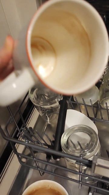 Моё полное разочарование в посудомоечной машине Bauknecht смотреть онлайн