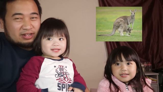 Rafa and Riona: Knowing the Animals смотреть онлайн