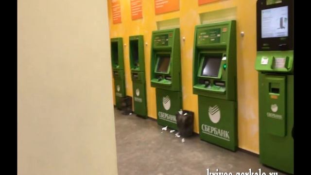 В Волгоградском Сбербанке ночуют БОМжи смотреть онлайн