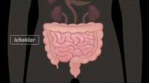 Руза тутиш организимга фойдаси.
