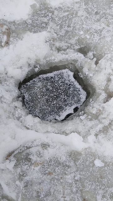 Лайфхак кислород рыбам🐟! смотреть онлайн