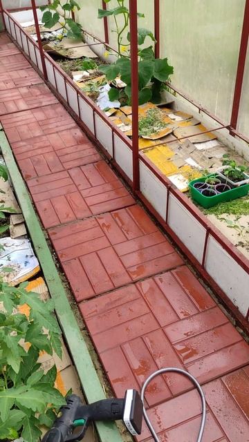 Использую АВД мойку для мытья дорожки в теплице 1 июля 2023 г. смотреть онлайн