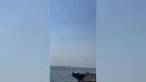 Видео пролета крылатых ракет над морем