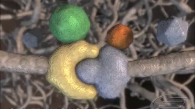 Intersticial Detección Química - Producción De Videos Médico Y Científico