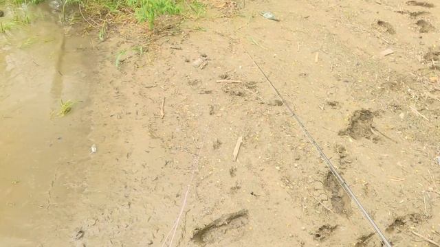 Супер лодка 🤟Рыбалка на Оке, Ловим на фидер. Обзор тюнинга света лодки в полной темноте