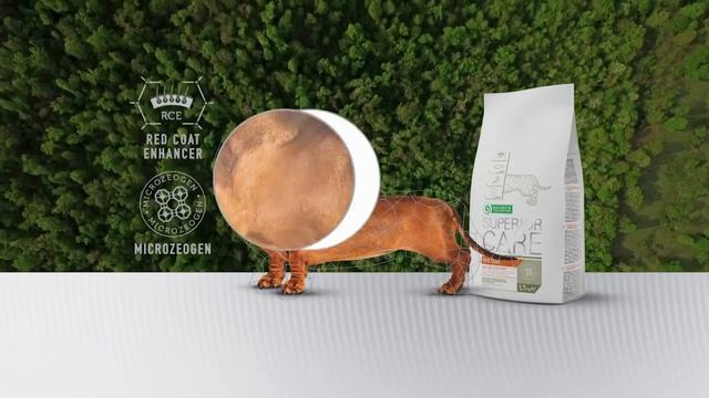 Nature's Protection Products Presentation смотреть онлайн