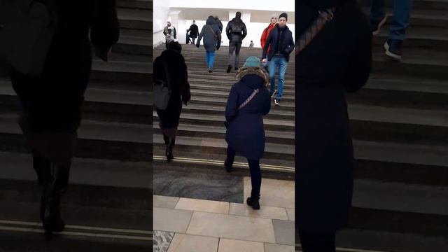 дорога до работы вместе со мной/В путь! смотреть онлайн