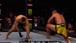 UFS 273 Зрелищный бой Хамзата Чимаева