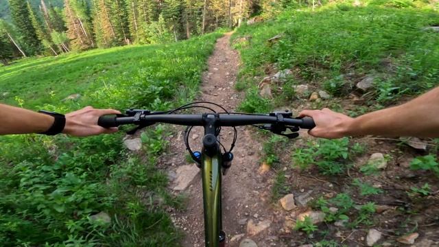 XC Showdown: Summary смотреть онлайн