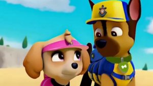 Заказ Коготь и Скай песня Я не леди💚🐾